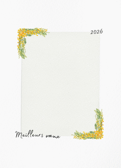 Envoi rapide par La Poste